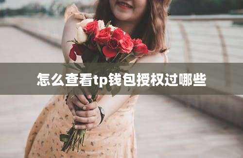 怎么查看tp钱包授权过哪些