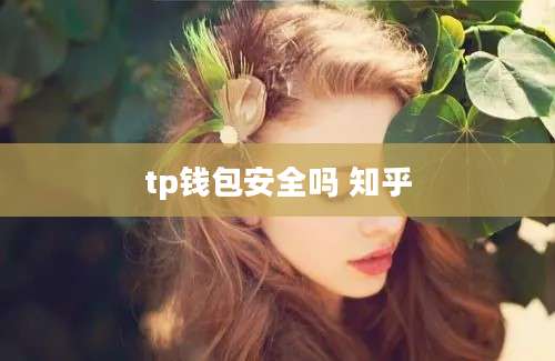 tp钱包安全吗 知乎