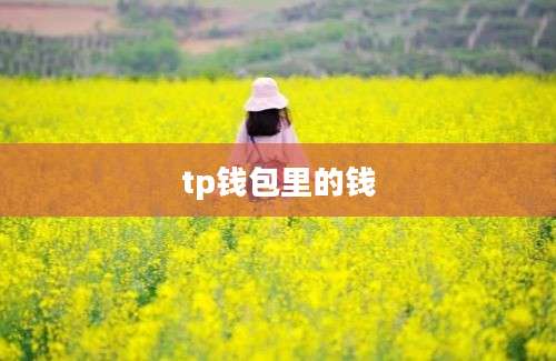 tp钱包里的钱