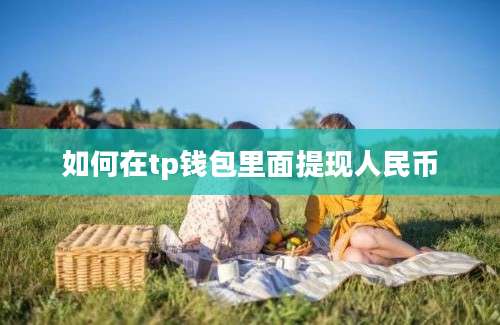 如何在tp钱包里面提现人民币
