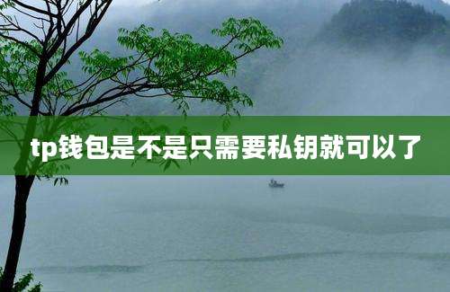 tp钱包是不是只需要私钥就可以了
