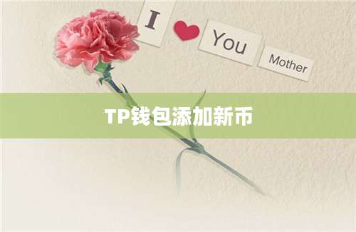 TP钱包添加新币
