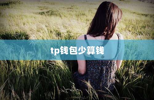 tp钱包少算钱