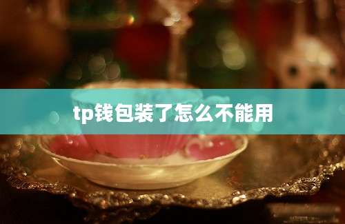 tp钱包装了怎么不能用