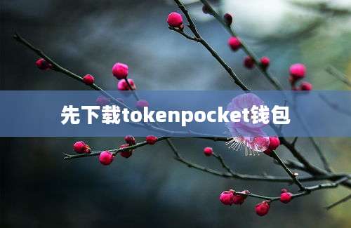 先下载tokenpocket钱包