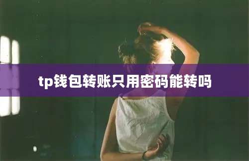 tp钱包转账只用密码能转吗