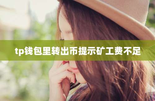 tp钱包里转出币提示矿工费不足