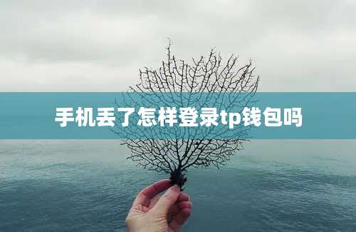 手机丢了怎样登录tp钱包吗