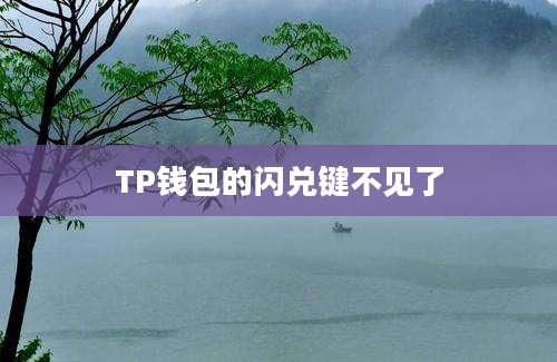 TP钱包的闪兑键不见了