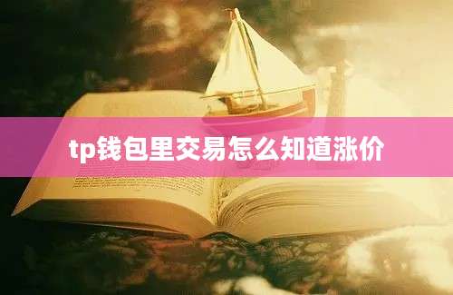 tp钱包里交易怎么知道涨价