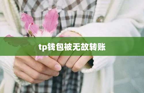tp钱包被无故转账