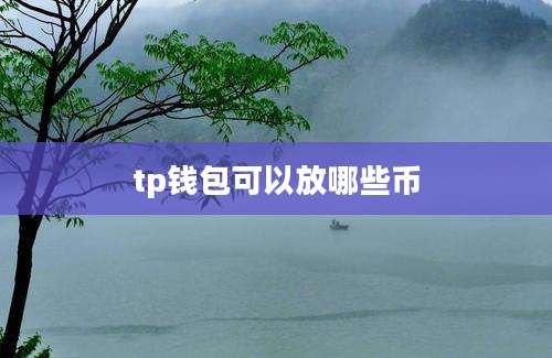 tp钱包可以放哪些币