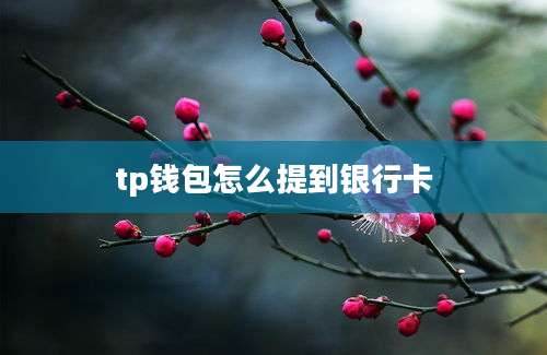 tp钱包怎么提到银行卡