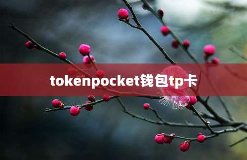 tokenpocket钱包tp卡