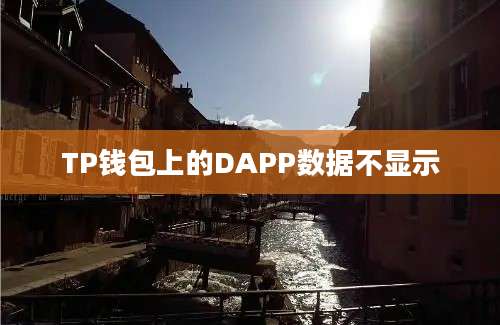 TP钱包上的DAPP数据不显示