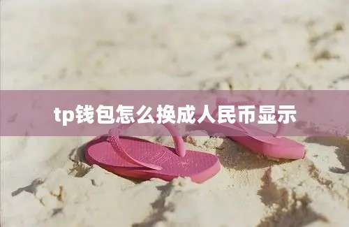 tp钱包怎么换成人民币显示