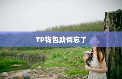 TP钱包助词忘了