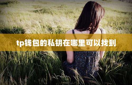 tp钱包的私钥在哪里可以找到