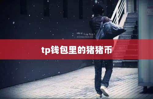 tp钱包里的猪猪币