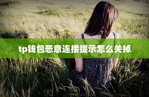 tp钱包恶意连接提示怎么关掉
