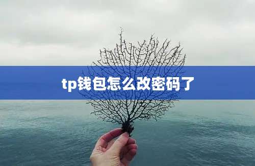 tp钱包怎么改密码了