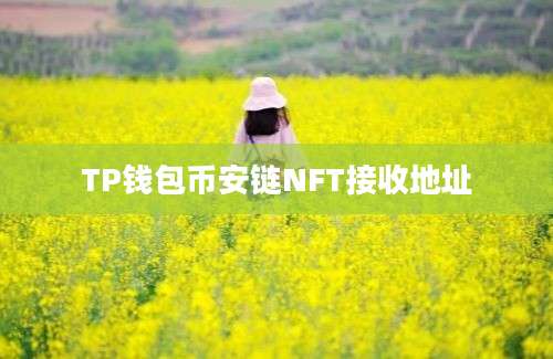 TP钱包币安链NFT接收地址