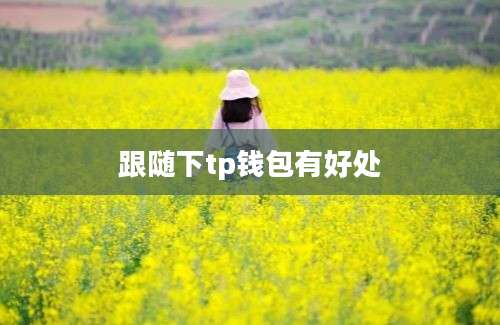 跟随下tp钱包有好处
