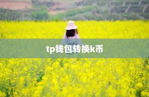 tp钱包转换k币