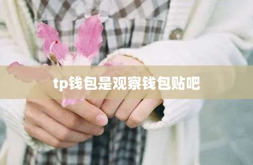 tp钱包是观察钱包贴吧