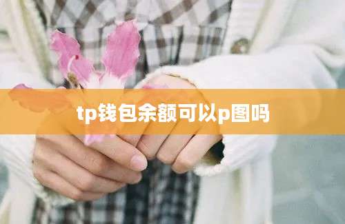 tp钱包余额可以p图吗