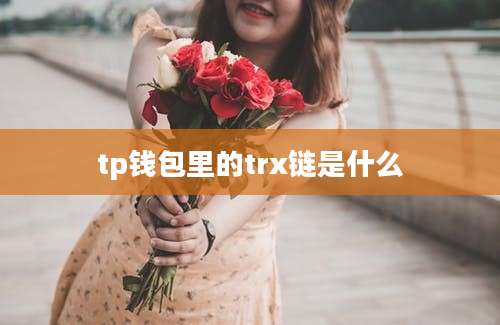 tp钱包里的trx链是什么