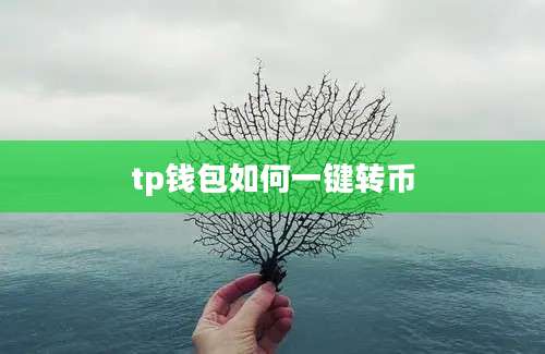 tp钱包如何一键转币