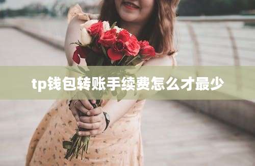 tp钱包转账手续费怎么才最少