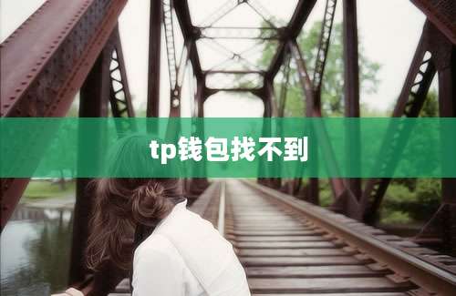 tp钱包找不到