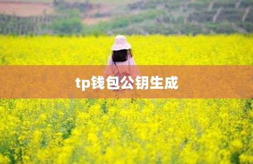 tp钱包公钥生成