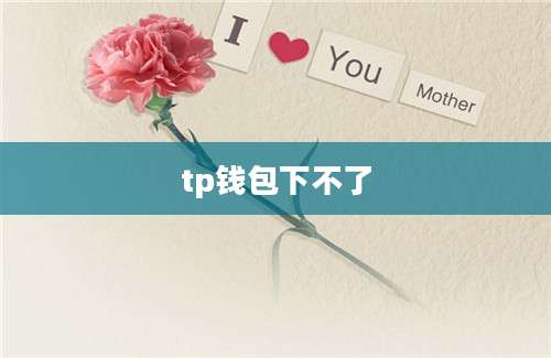 tp钱包下不了