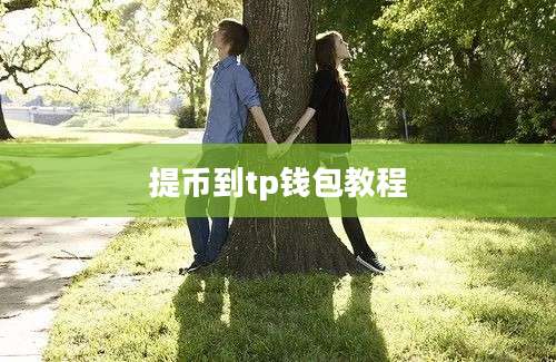 提币到tp钱包教程