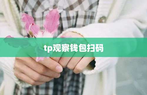 tp观察钱包扫码