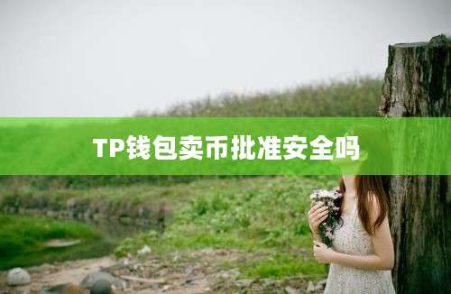TP钱包卖币批准安全吗