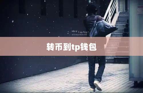 转币到tp钱包