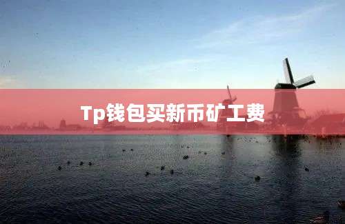 Tp钱包买新币矿工费