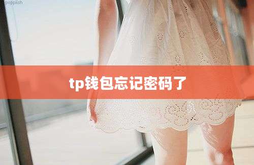 tp钱包忘记密码了