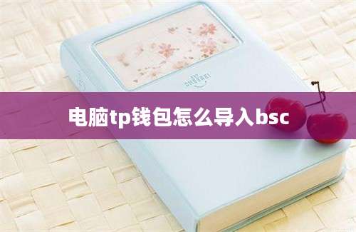 电脑tp钱包怎么导入bsc