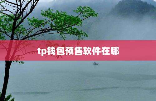 tp钱包预售软件在哪
