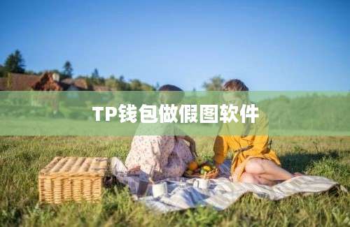 TP钱包做假图软件