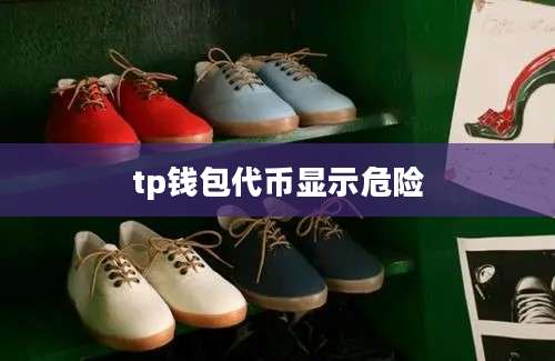 tp钱包代币显示危险