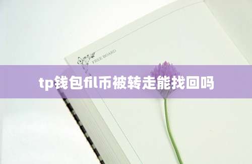 tp钱包fil币被转走能找回吗