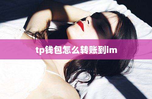 tp钱包怎么转账到im