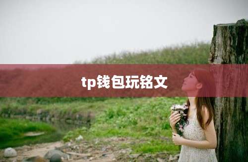 tp钱包玩铭文