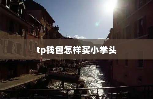 tp钱包怎样买小拳头